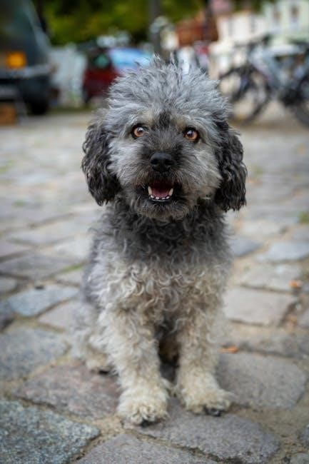 butchers dog food feeding guide