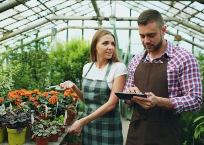 instruction in horticulture crossword clue